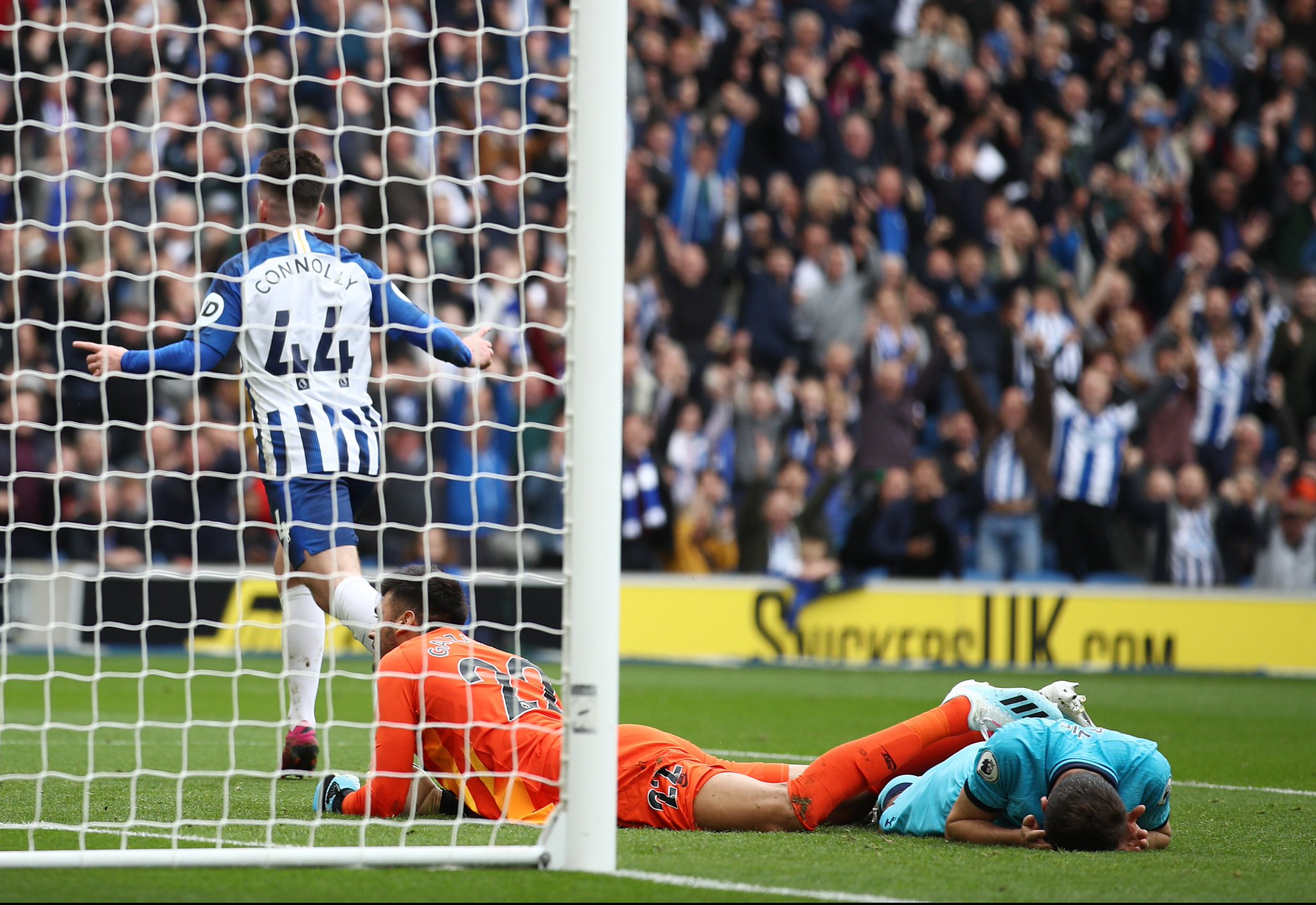 这也反映了 这也反映了